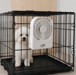 ☀️Sommerklar|Hundeferien^All For Paws AFP Chill out | Kølende Ventilator