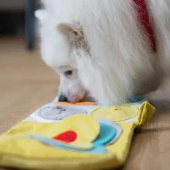 Aktivitetslegetøj Til Hunde|Hvalpelegetøj^All For Paws AFP Hvalpeaktivitetsbog | Puppy Nose Work