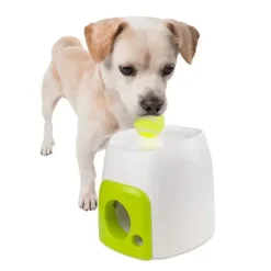 Aktivitetslegetøj Til Hunde|Bolde^All For Paws AFP Interactives - Fetch'N Treat