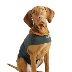 Helse Til Hunde|Nytårskurven^All For Paws AFP Stay Calm Anti Angst Vest | OUTLET