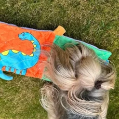 Aktivitetslegetøj Til Hunde|Snusemåtter/Slikkeplader^All For Paws AFP T-REX Dino bog | Med knitrelyd og piv