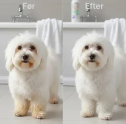 Hundeshampoo Og Hundebalsam^#1 All Systems | Pure White Lightening shampoo | OUTLET
