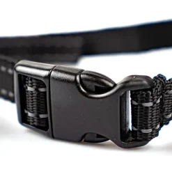Hundehalsbånd|Uønsket Adfærd^Ollipet Anti-Bark USB | Anti-gø-halsbånd