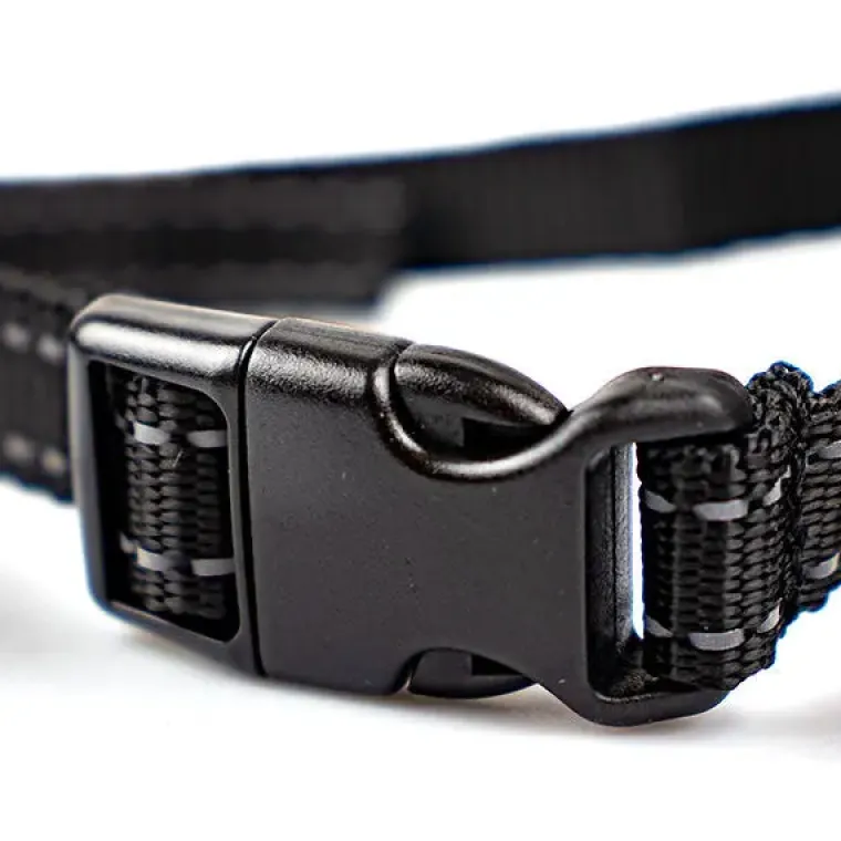 Hundehalsbånd|Uønsket Adfærd^Ollipet Anti-Bark USB | Anti-gø-halsbånd