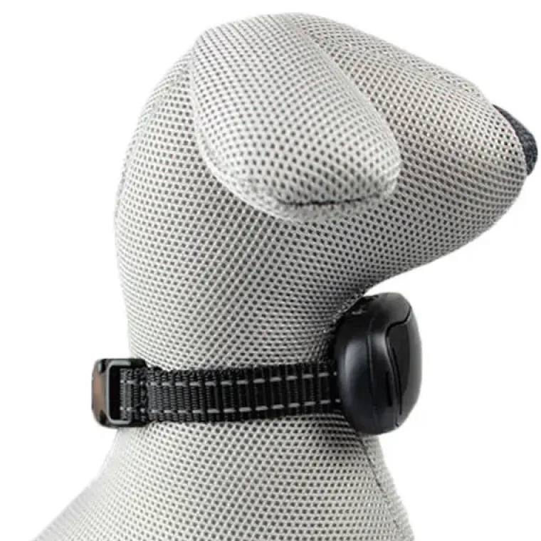 Hundehalsbånd|Uønsket Adfærd^Ollipet Anti-Bark USB | Anti-gø-halsbånd