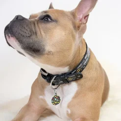 Hundehalsbånd^Collar/WauDog Batman halsbånd | m. QR-Tag | OUTLET