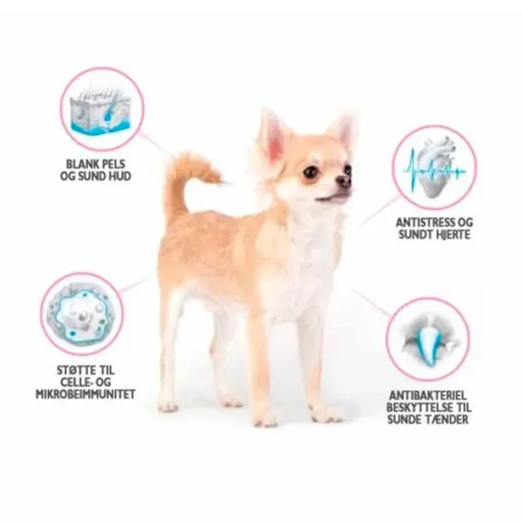 Hundemad^Brit Care Mini Grain Free Adult - Lamb | Tørfoder
