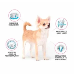 Hundemad|Hvalpefoder^Brit Care Mini Grain Free Puppy - Lamb | Tørfoder