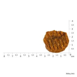 Hvalpegodbidder Og Gnaveben|Godbidder Og Gnaveben^Brit Care Brit Jerky Puppy Turkey Meaty Coins | 80g