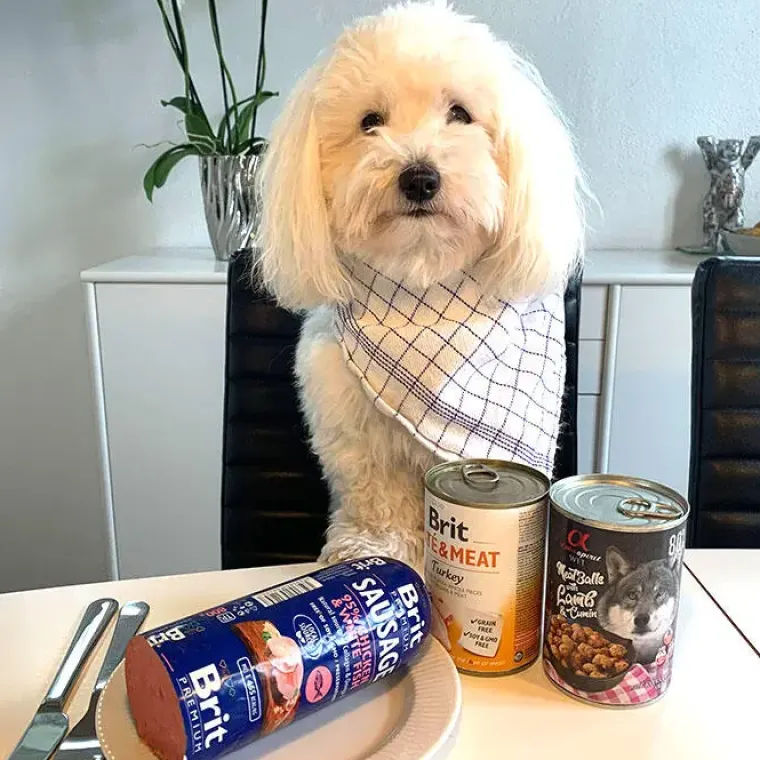 Hundemad^Brit Care Brit Paté & Meat | Vådfoder