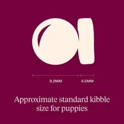 Hundemad|Hvalpefoder^Carnilove Active Dog Salmon & Turkey, Puppy All Breeds | Tørfoder