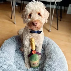 Nytårskurven|Plyslegetøj Til Hunde^Cotonshoppen Champagneflaske i plys | OUTLET