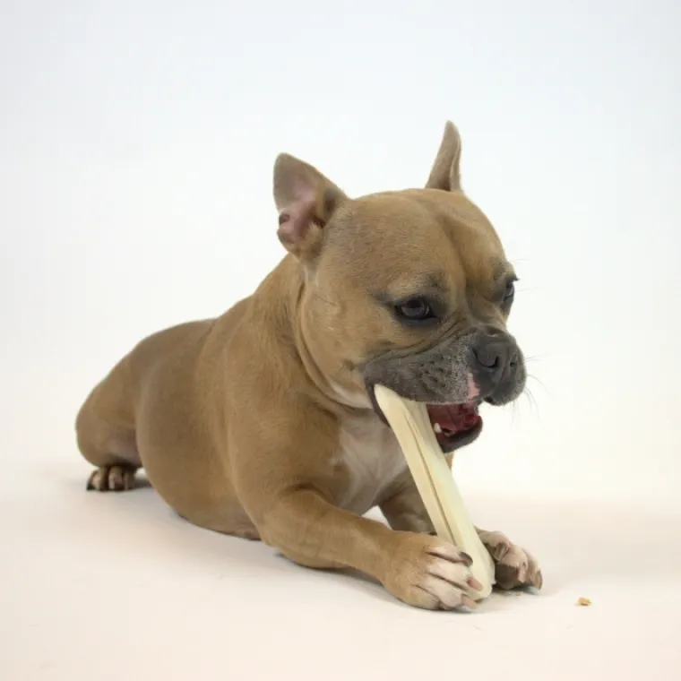 Godbidder Og Gnaveben^Dogman Chicken Stuffed Bone | 2 stk.