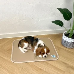 ☀️Sommerklar|Køleartikler^CoolPets Premium Kølemåtte | Citronella og Eukaluptus Beige