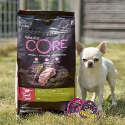 Hundemad^Wellness CORE CORE Adult Low Fat - Small Breed | Tørfoder