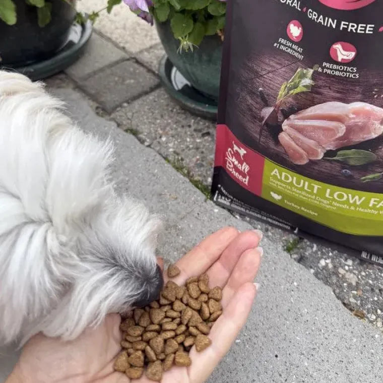 Hundemad^Wellness CORE CORE Adult Low Fat - Small Breed | Tørfoder