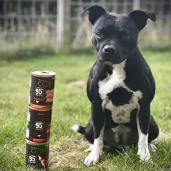 Hundemad|Single Protein & Foder & Godbidder^Wellness CORE CORE 95 All Breed Vådfoder | Singleprotein