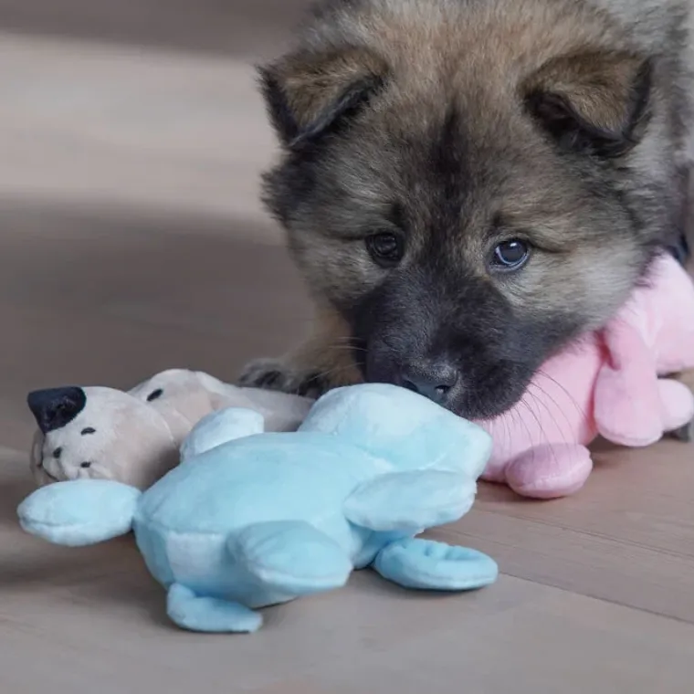 Til Opdrættere|Plyslegetøj Til Hunde^Ollipet Cuddly Dog Mini Dogs med piv
