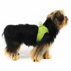 Hundeseler|Bestsellers^Curli Clasp Air Mesh Step-in Hundesele