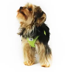 Hundeseler|Bestsellers^Curli Clasp Air Mesh Step-in Hundesele