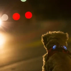 Efterårsklar|Løbeturen^Curli LED safety lights | 2 stk