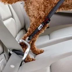 Biltransport Af Hund^Curli sikkerhedssele til bil V2