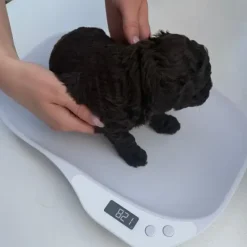 Til Opdrættere|Nyfødte Hvalpe 0-8 Uger^Cotonshoppen Digitalvægt til hvalpe | op til 15 kg.