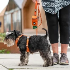 Hundeseler|Bestsellers^Dog Copenhagen Comfort Walk Air™ selen | Step in