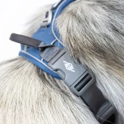 Hundeseler|Bestsellers^Dog Copenhagen Comfort Walk Pro hundesele