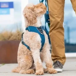 Hundeseler|Bestsellers^Dog Copenhagen Comfort Walk Pro hundesele