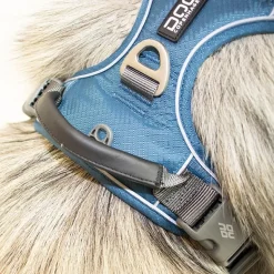 Hundeseler|Bestsellers^Dog Copenhagen Comfort Walk Pro hundesele