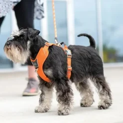 Hundeseler|Bestsellers^Dog Copenhagen Comfort Walk Pro hundesele