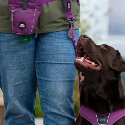 Hundeposer Og Holdere|Hundesnor^Dog Copenhagen Flexy™ Hundeposeholder