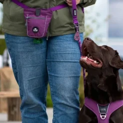Hundeposer Og Holdere|Løbeturen^Dog Copenhagen Go Explore™ Godbidstaske