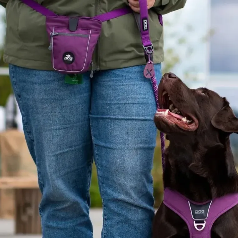 Hundeposer Og Holdere|Løbeturen^Dog Copenhagen Go Explore™ Godbidstaske