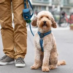 Løbeturen|Godbidstasker^Dog Copenhagen Pouch Organizer™ Leash Bag