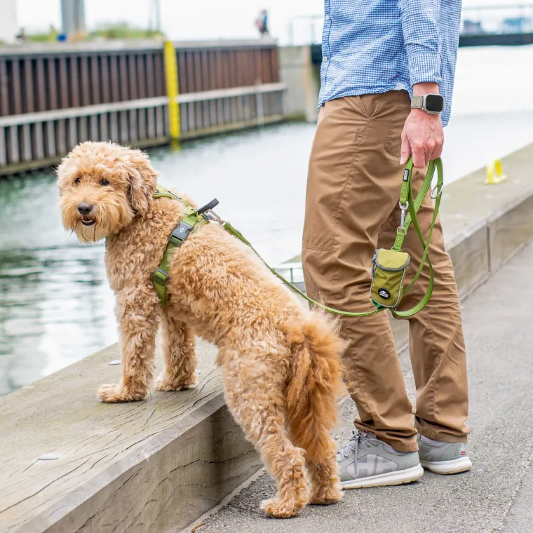 Hundesnor^Dog Copenhagen Urban Classic™ Hundesnor