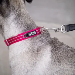 Hundehalsbånd^Dog Copenhagen Urban Style Hundehalsbånd