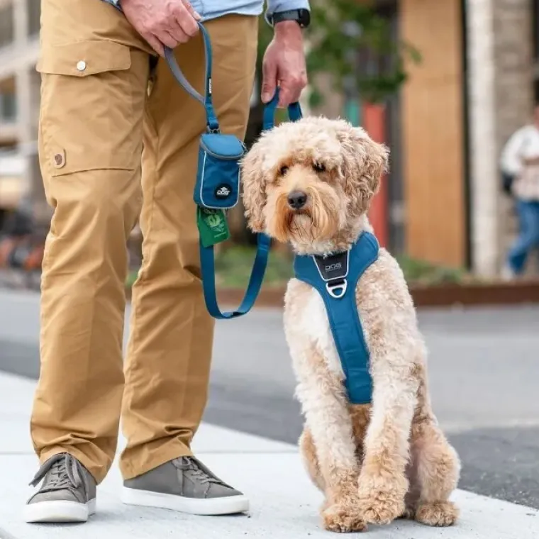 Hundesnor^Dog Copenhagen Urban Trail™ Line