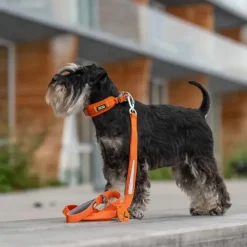 Hundesnor^Dog Copenhagen Urban Trail™ Line