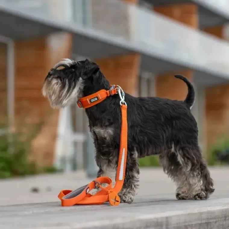 Hundesnor^Dog Copenhagen Urban Trail™ Line