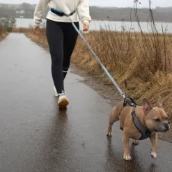 Hundetræning Og Klikker|Løbeturen^DogLemi Løbeline med bælte