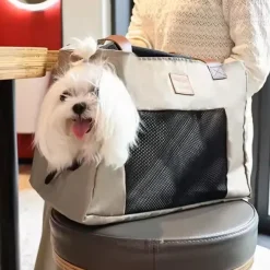 Hundetaske|Transporttasker Til Hunde^DogLemi taske til små hunde og katte | OUTLET