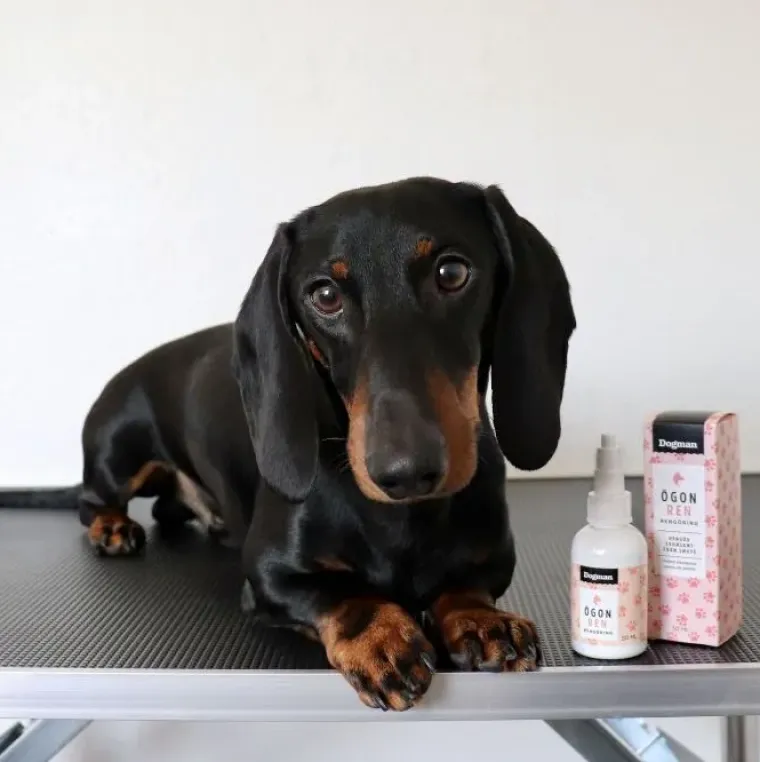 Pelspleje|Mund-, Øre- Og Øjenpleje^Dogman Øjenrens 50ml