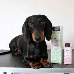 Poter Og Kløer^Dogman Poterengøring Mousse 150ml
