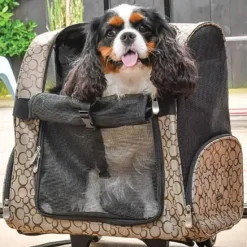 Transporttasker Til Hunde|Rygsæk Til Hunde^Doogy Rejse Rygsæk til hunde