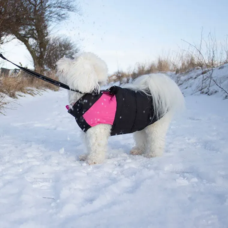 Hvalpetøj|Efterårsklar^FashionDoggy Dynevest Hundedækken | Quiltet