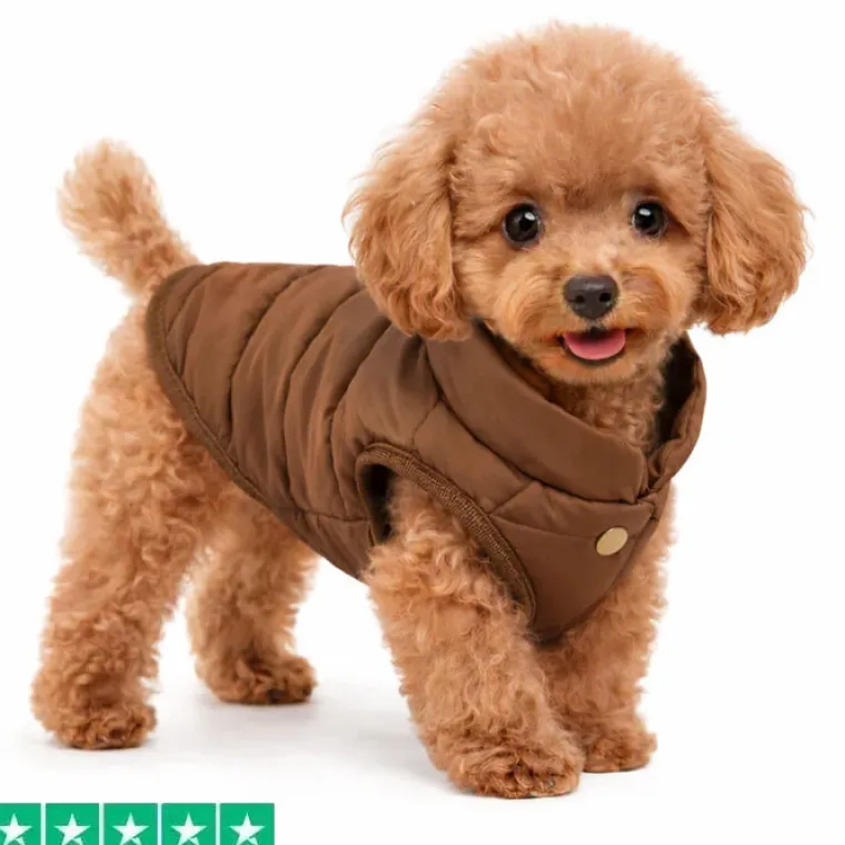 Efterårsklar|Hundetøj^FashionDoggy Dynevest med fleecefor | OUTLET