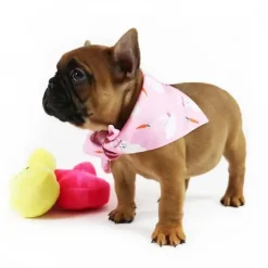 Påskekurven^Ollipet Easter Dog Bandana