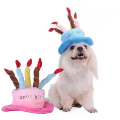 Hundefødselsdag^Ollipet Fødselsdagshat til hunde | med lys